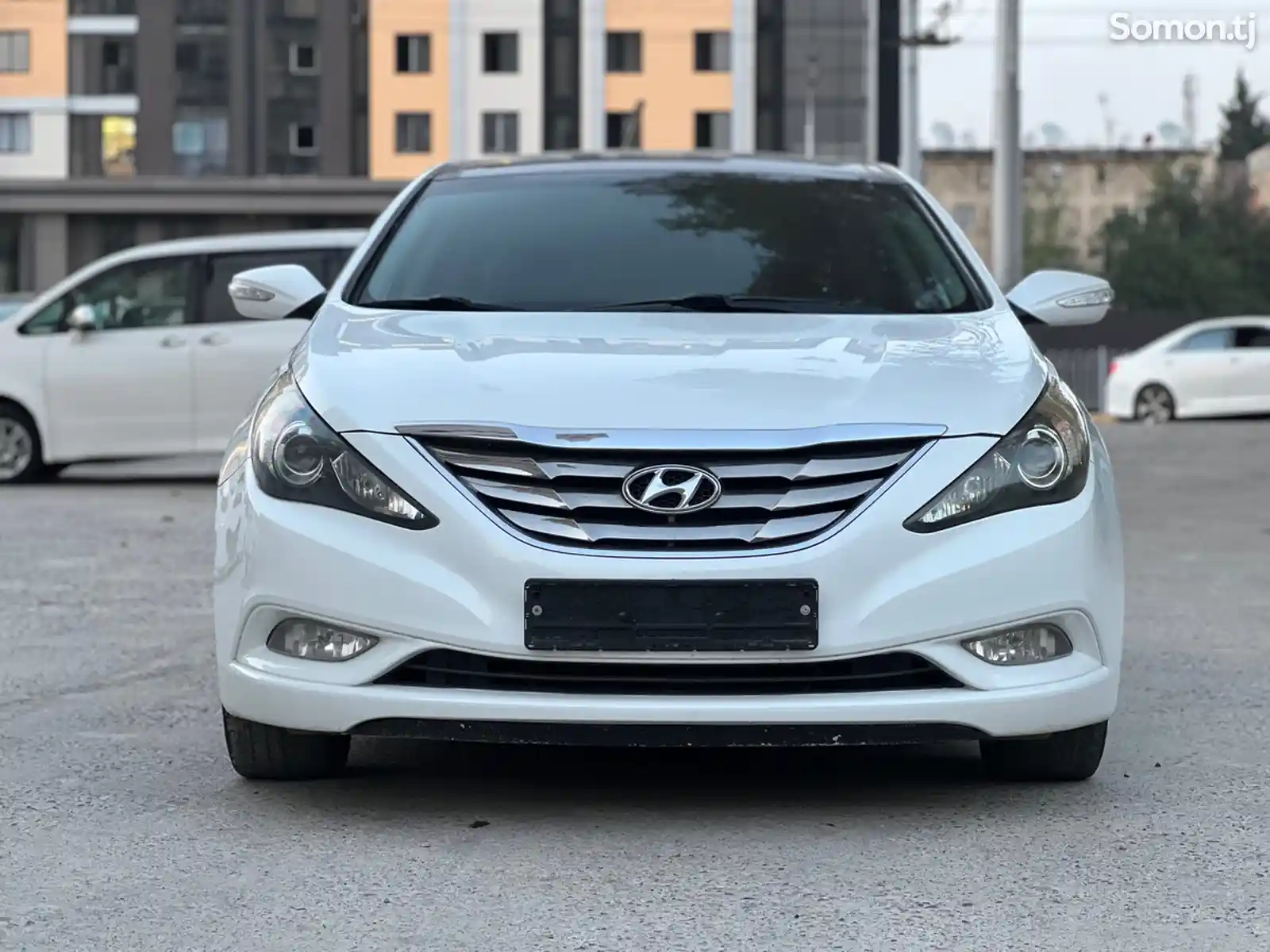 Hyundai Sonata, 2010-1