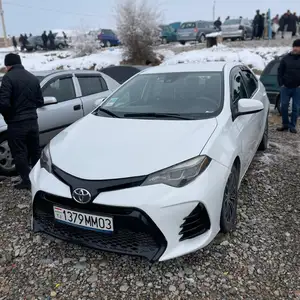 Toyota Corolla, 2019