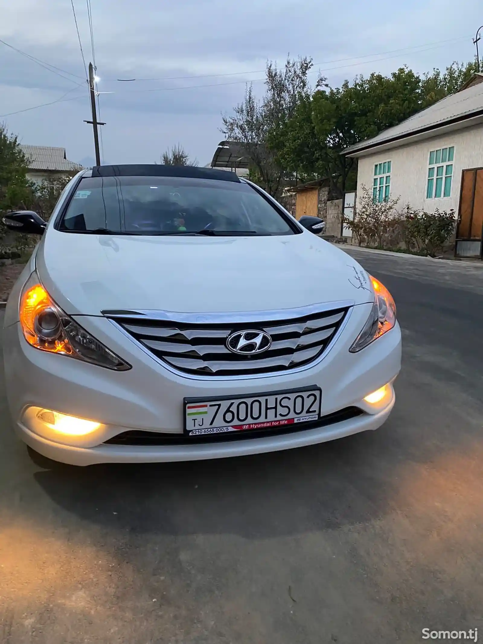 Hyundai Sonata, 2010-6