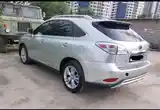 Lexus RX series, 2010-4