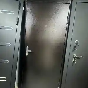 Дверь входной металлический