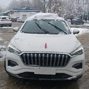 Hongqi E-HS3, 2019