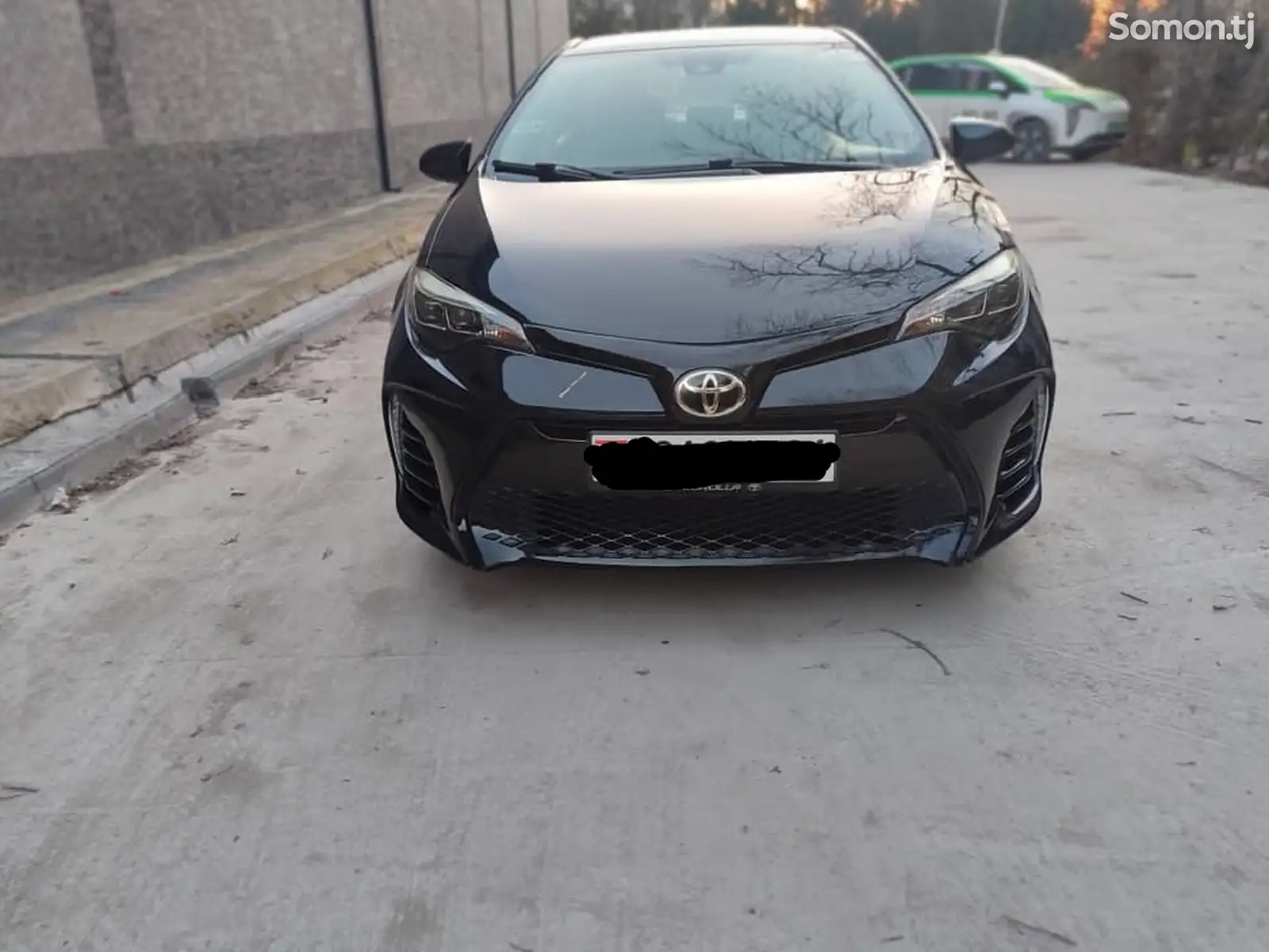 Toyota Corolla, 2019-1