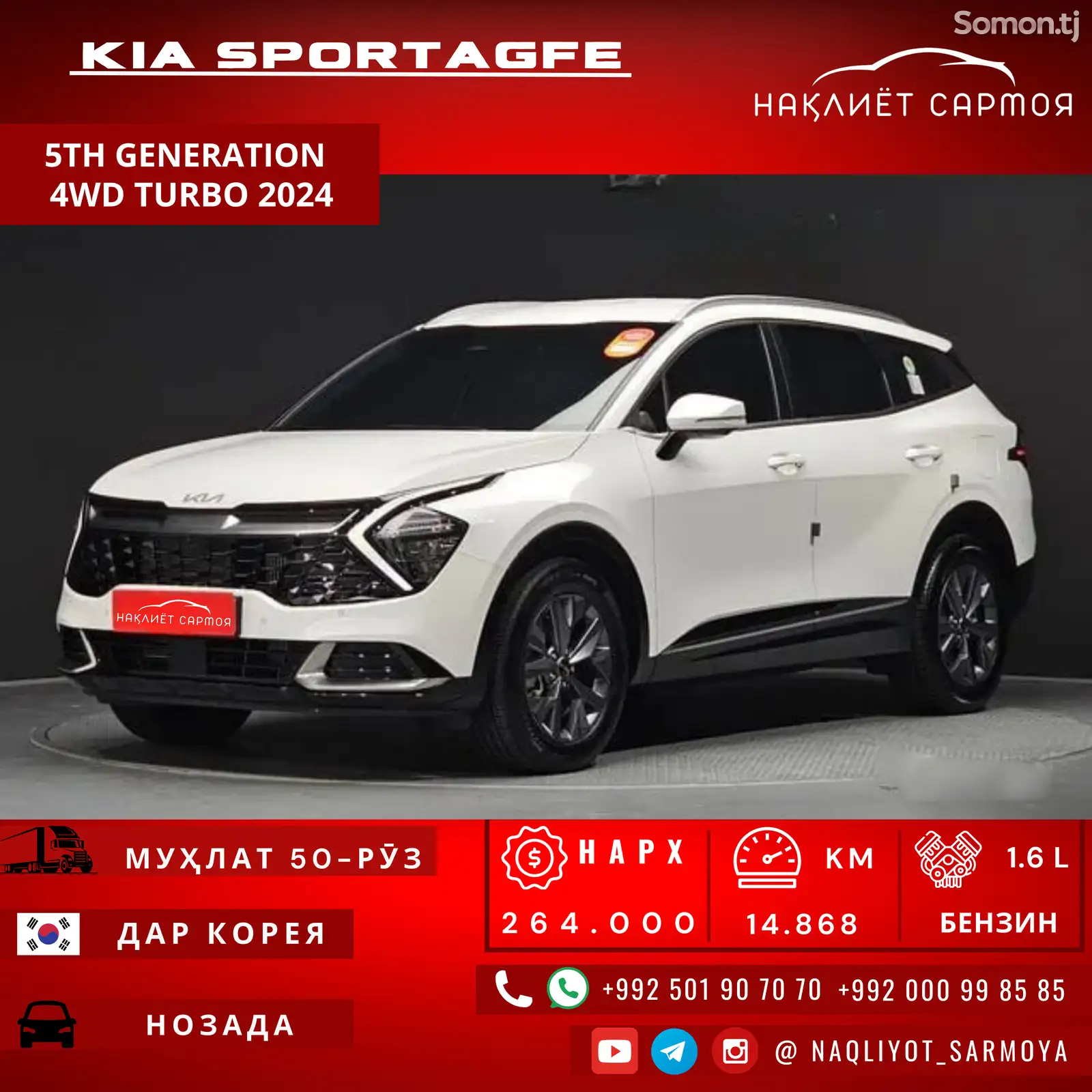 Kia Sportage, 2024-1