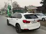 BMW X5, 2014-4