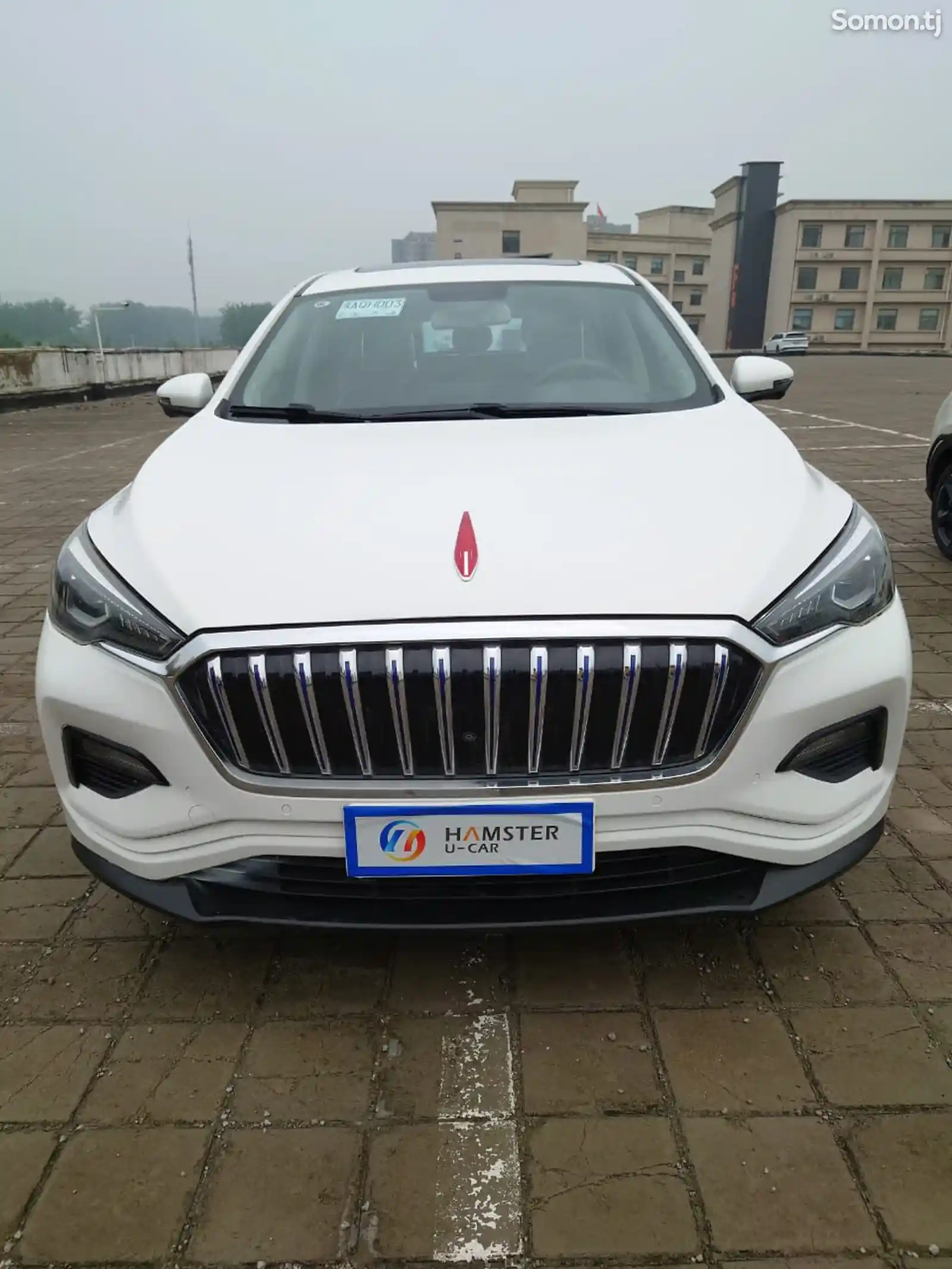 Hongqi E-HS3, 2019-1