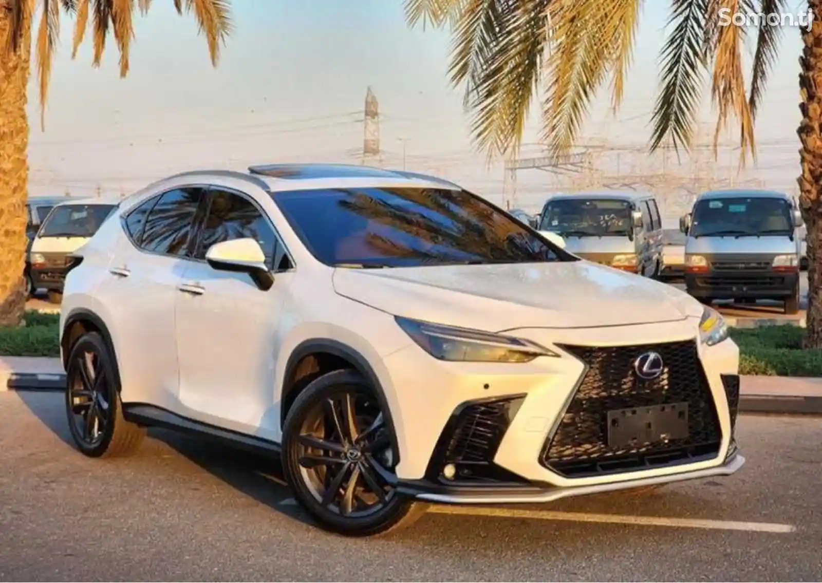 Lexus NX series, 2023-2