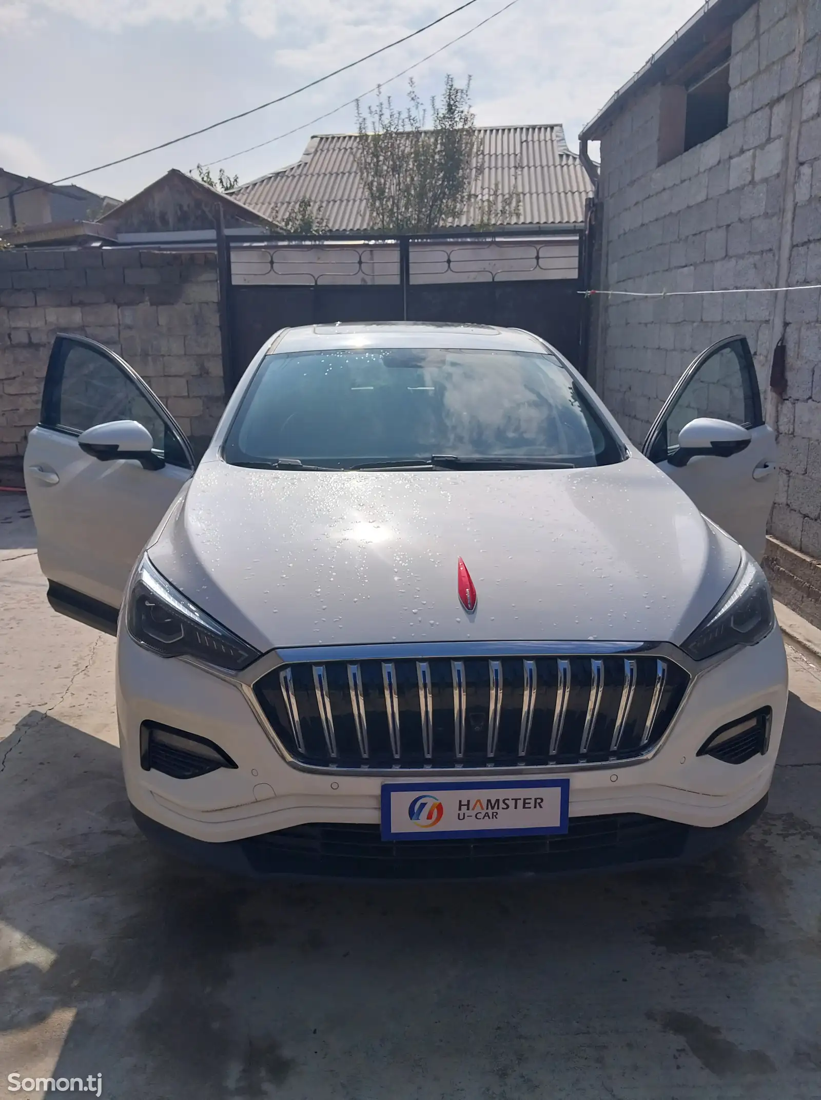 Hongqi E-HS3, 2019-1