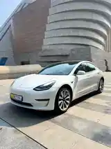 Tesla Model 3, 2020-2