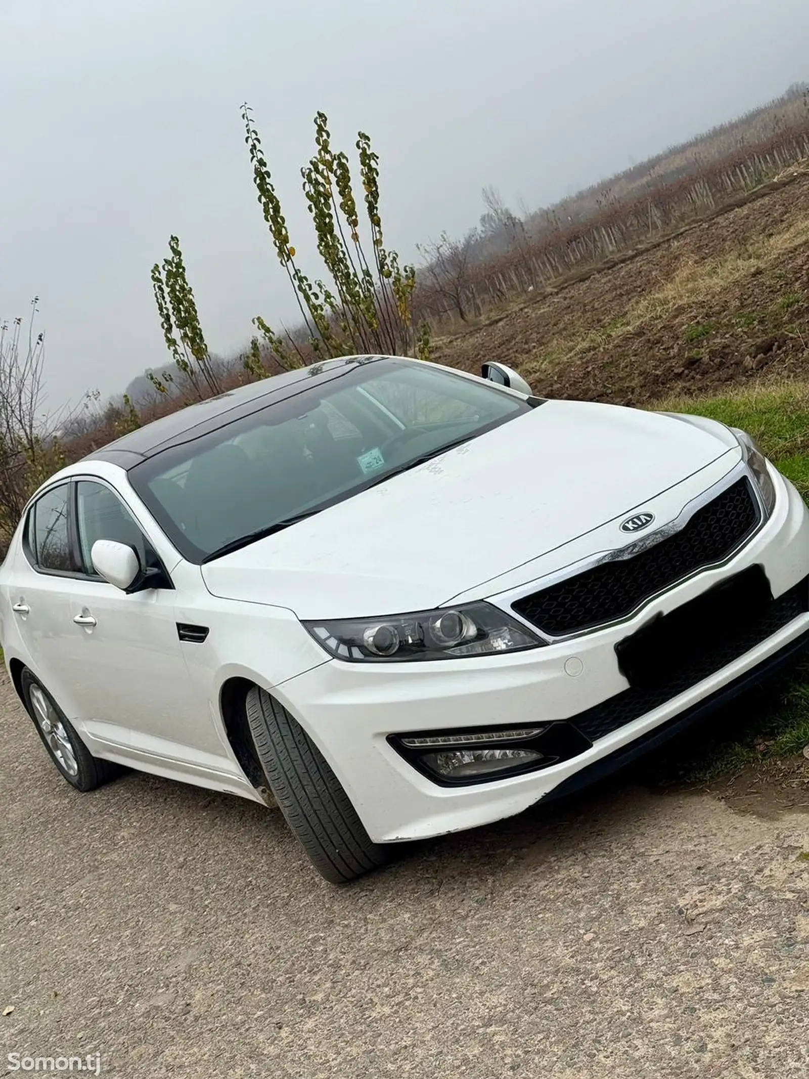 Kia K series, 2012-1