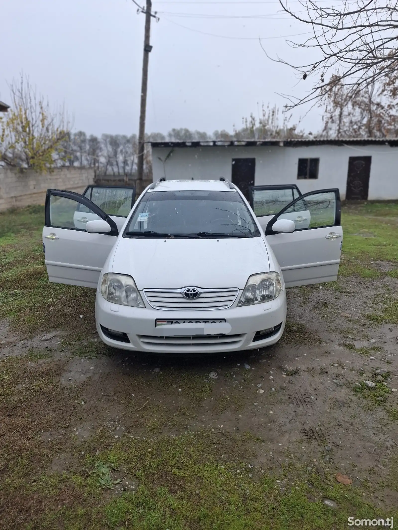 Toyota Caldina, 2006-1