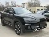 BYD Song Plus Flagship, 2025-3