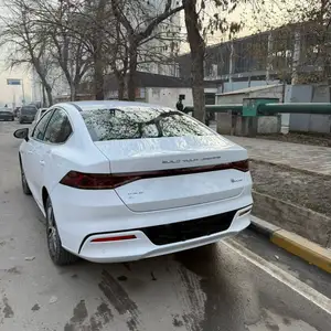 BYD Qin Plus, 2024