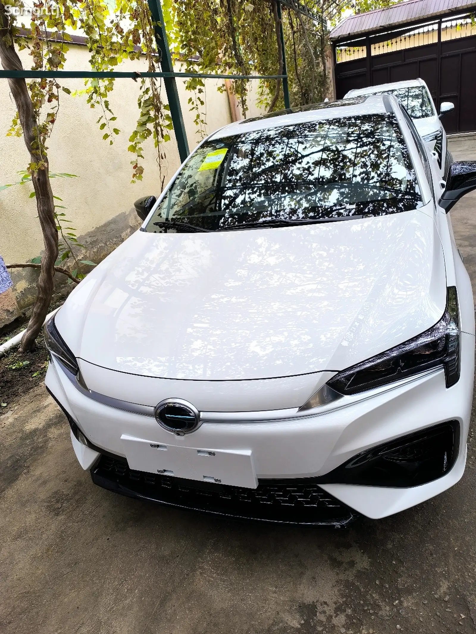 BYD E2, 2024-1