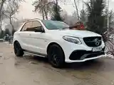 Mercedes-Benz GLE class, 2018-5