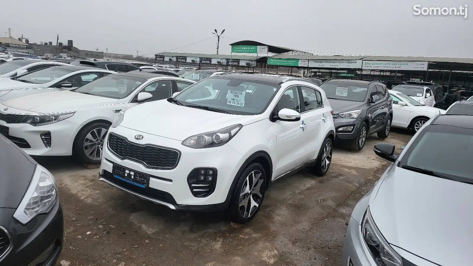 Kia Sportage, 2015-1