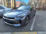 Kia Stinger, 2018-2