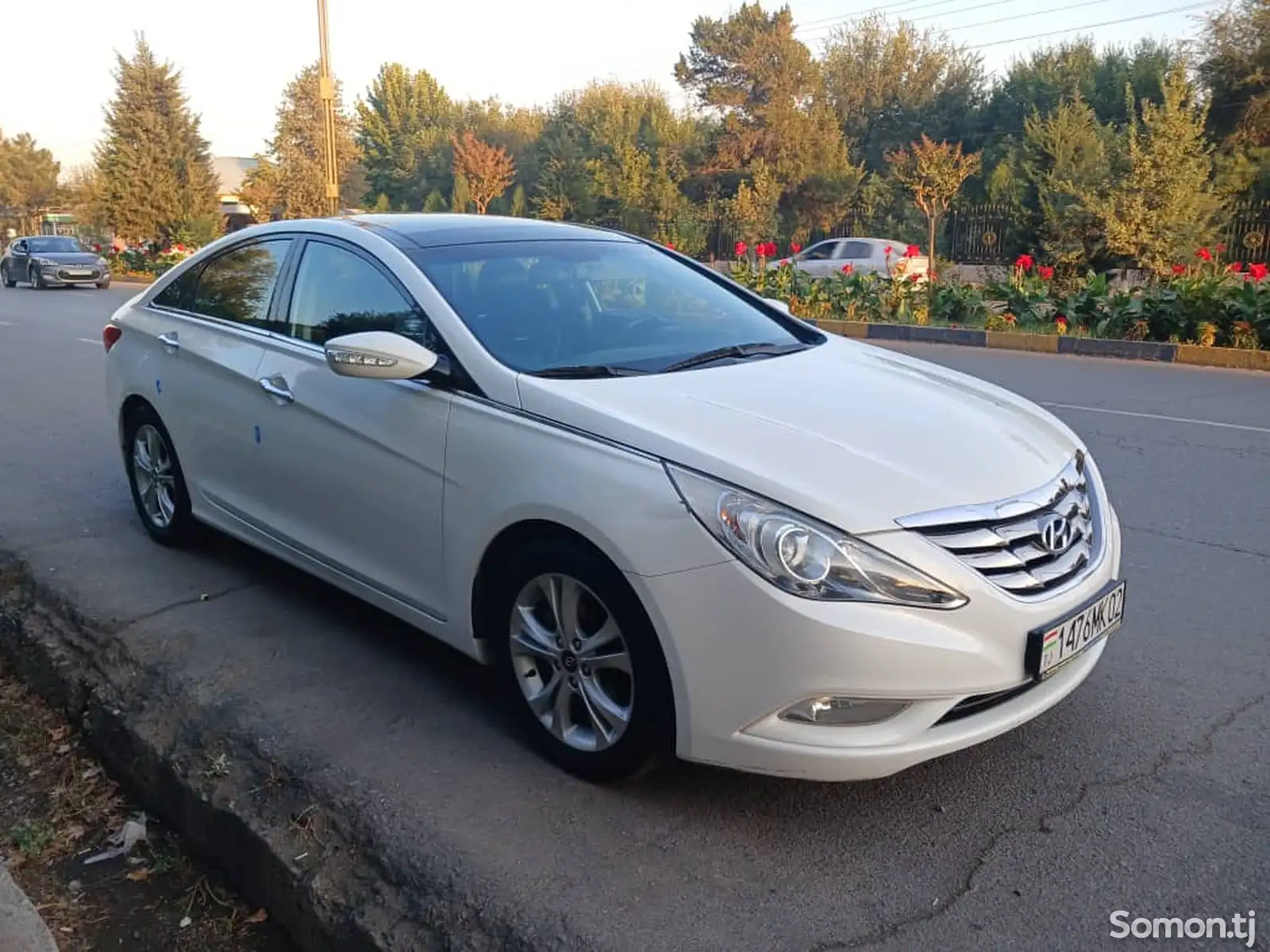 Hyundai Sonata, 2010-1