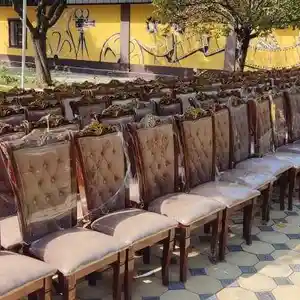 Стол и стулья на прокат