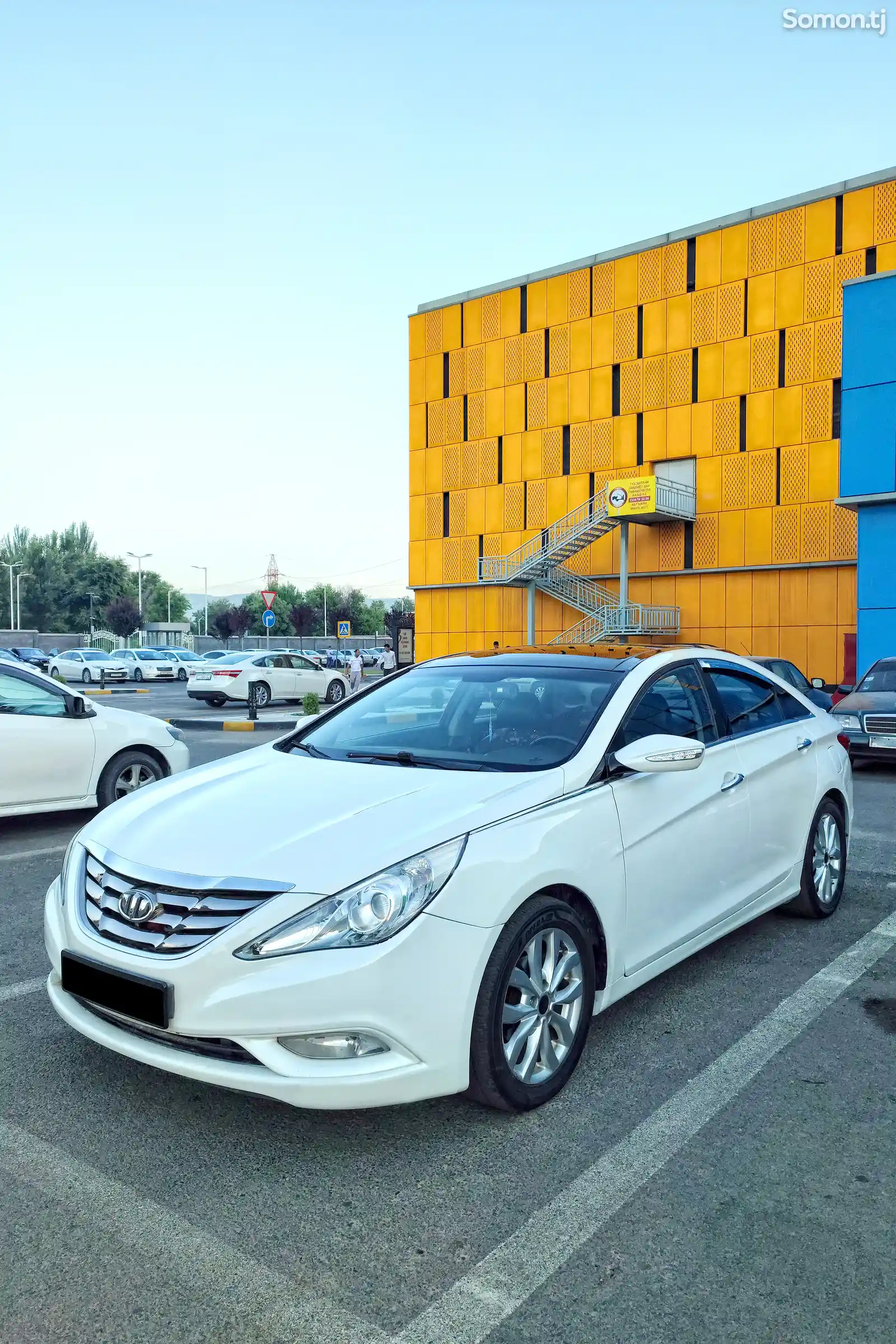 Hyundai Sonata, 2010-3