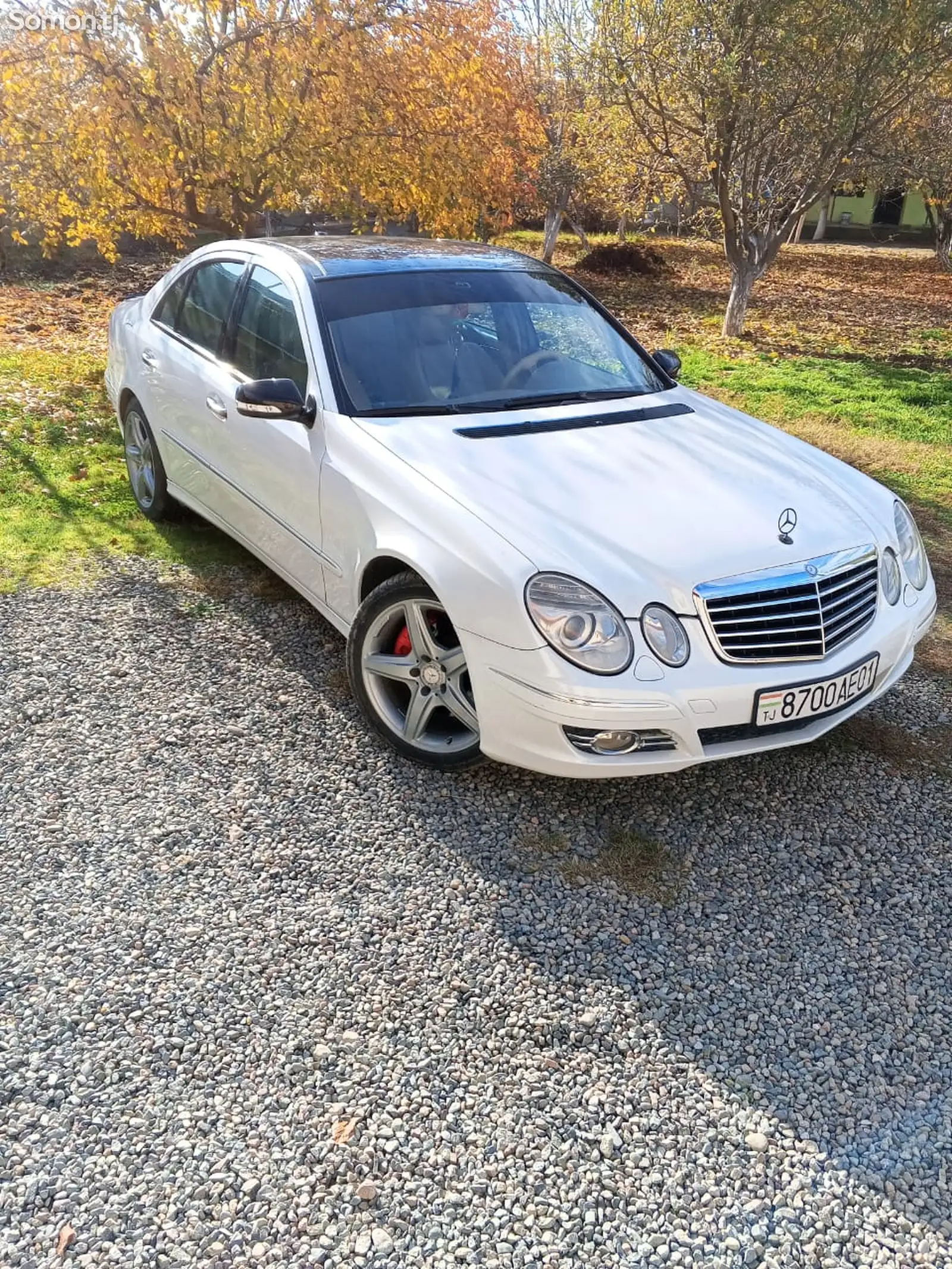 Mercedes-Benz E class, 2008-1