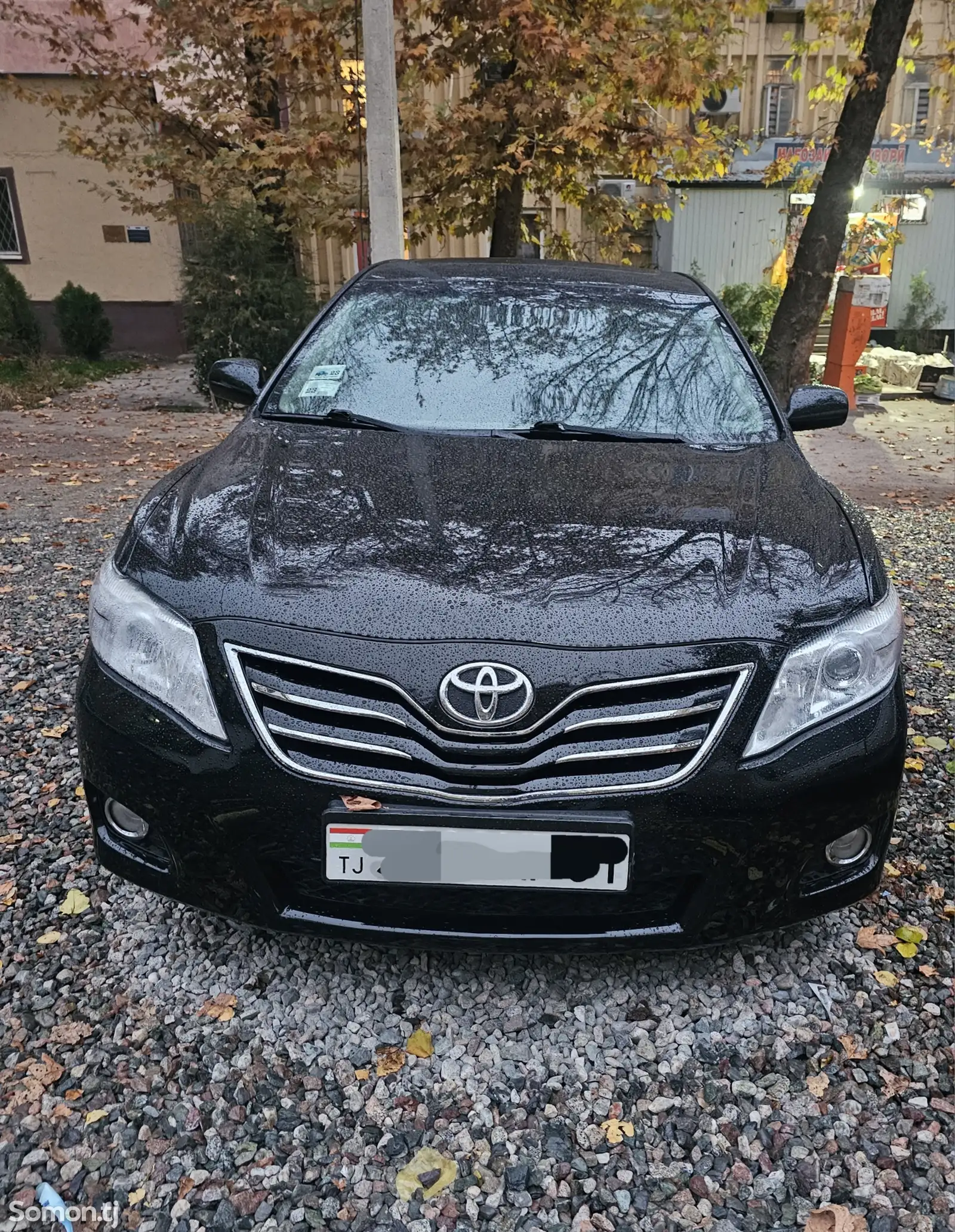 Toyota Camry, 2010-1