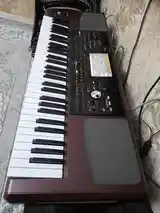 Синтезатор Korg Pa 1000-2