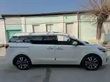 Kia Carnival, 2014-6