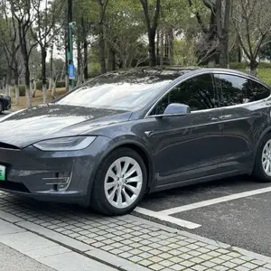 Tesla Model X, 2019