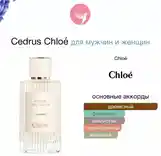 Духи Унисекс Cedrus Chloé-2