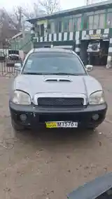 Hyundai Santa Fe, 2001-4