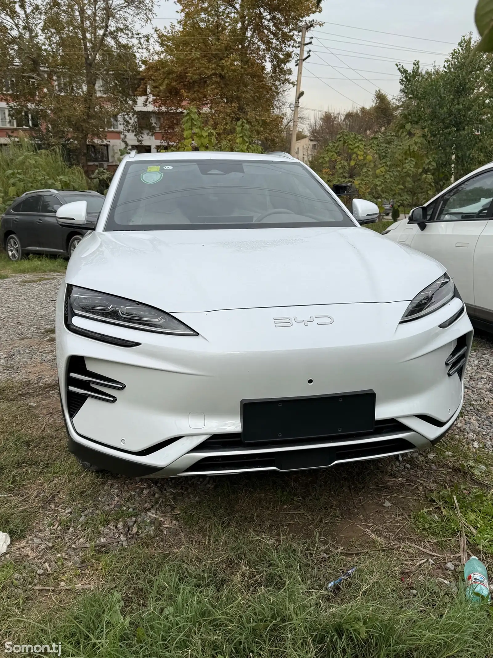 BYD Song Plus Flagship, 2024-1