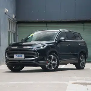 BYD Другие модели, 2024