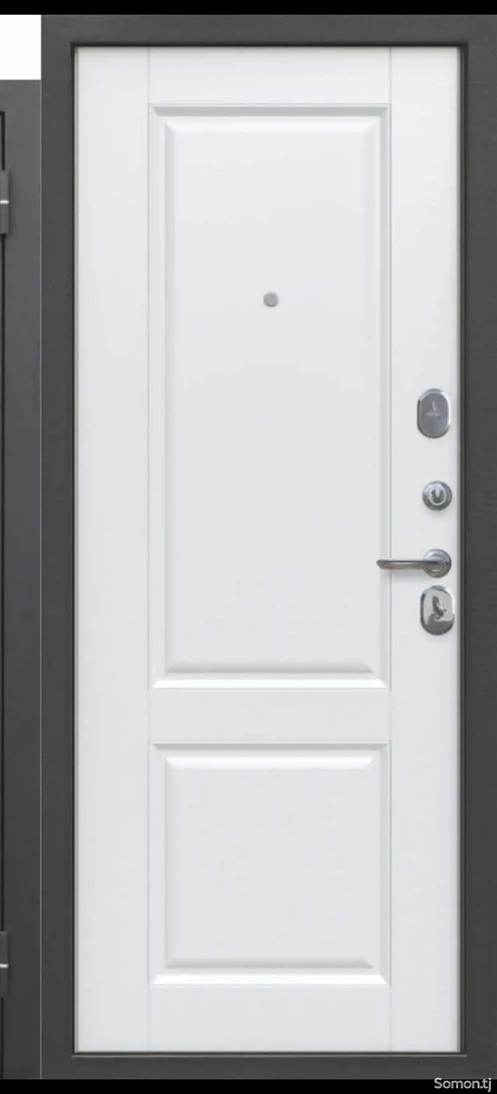 Дверь-1