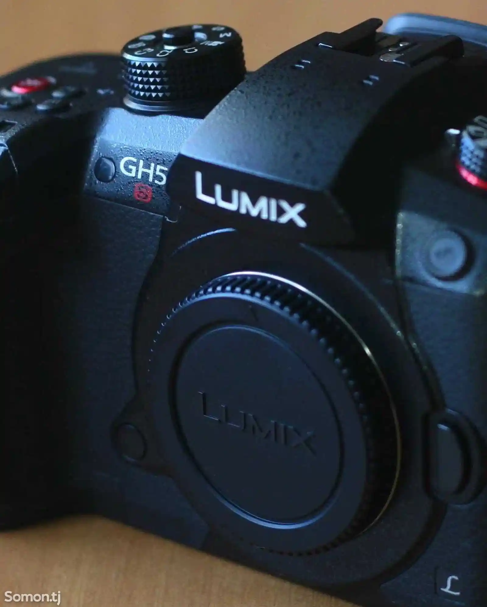 Фотоаппарат Panasonic Lumix DC-GH5S Body-5