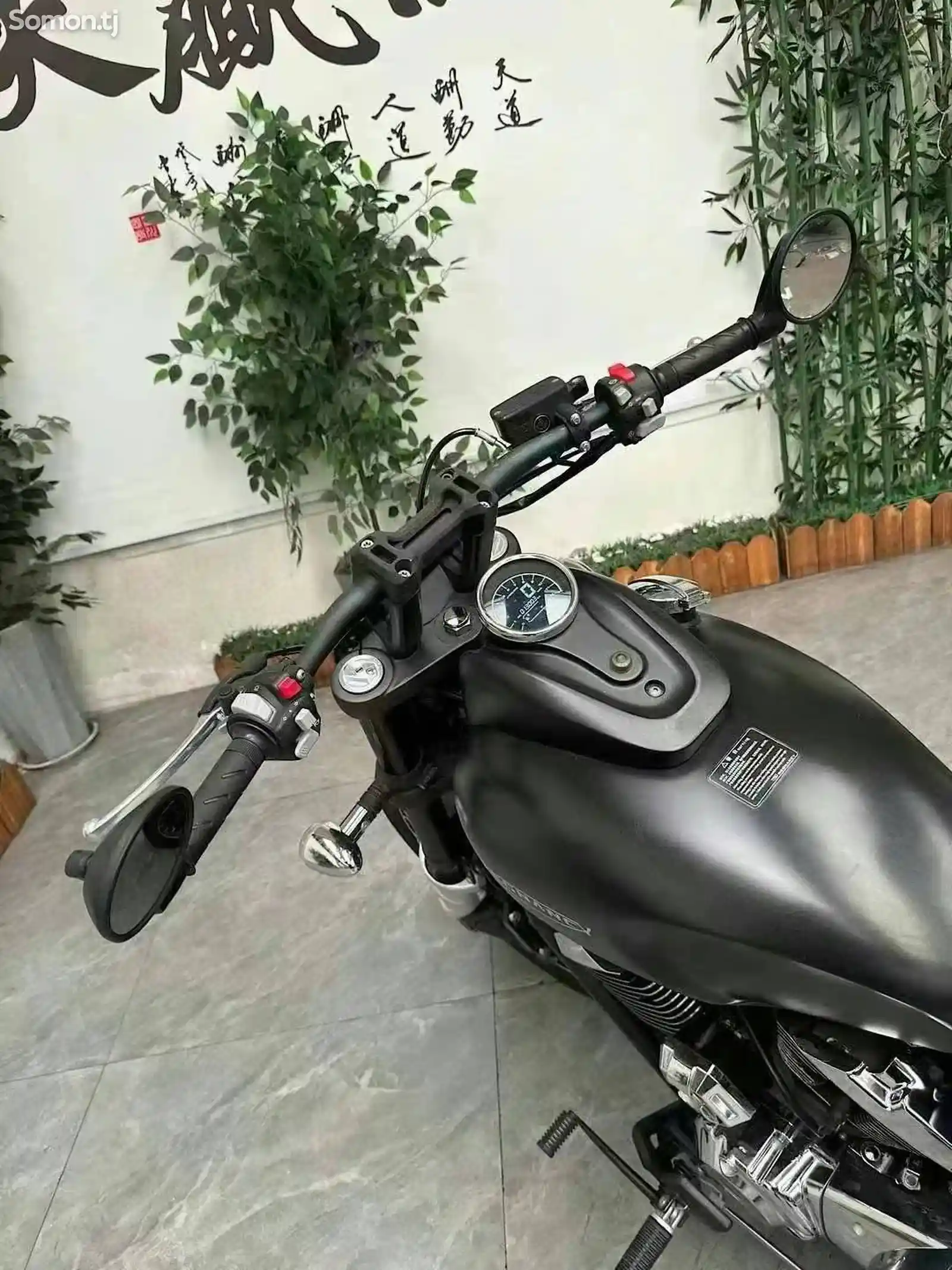 Мотоцикл Regnancy RX300 ABS на заказ-8