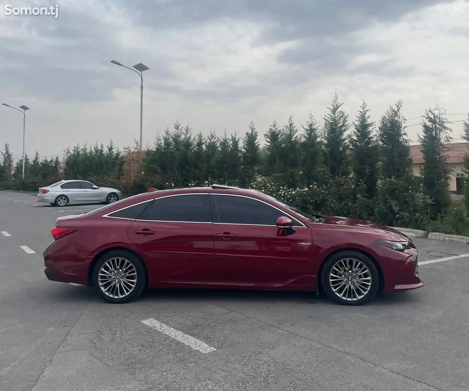 Toyota Avalon, 2019-2