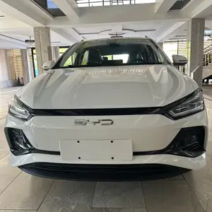 BYD E2, 2024