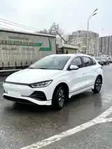 BYD E2, 2024-2