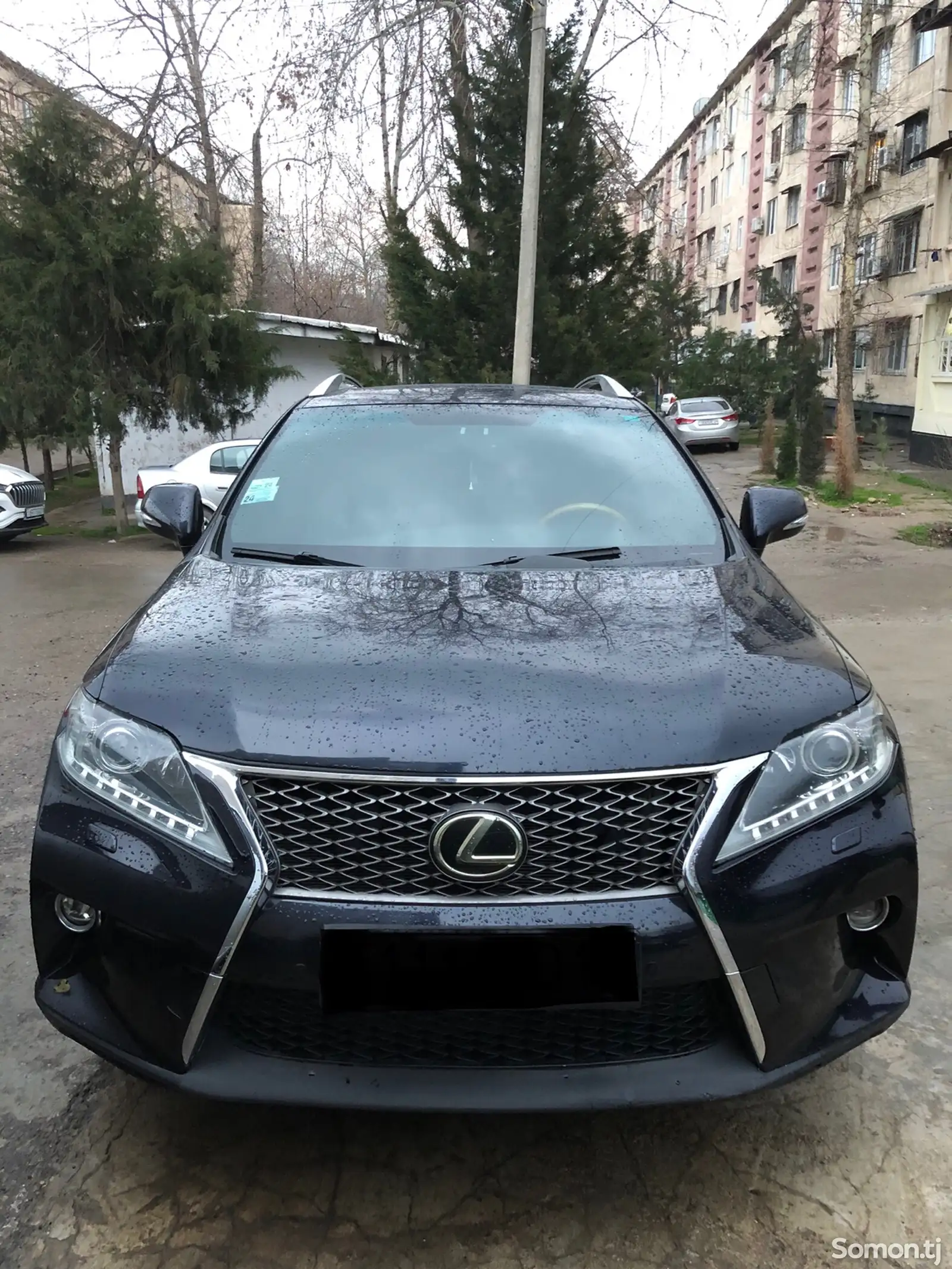 Lexus RX series, 2010-1