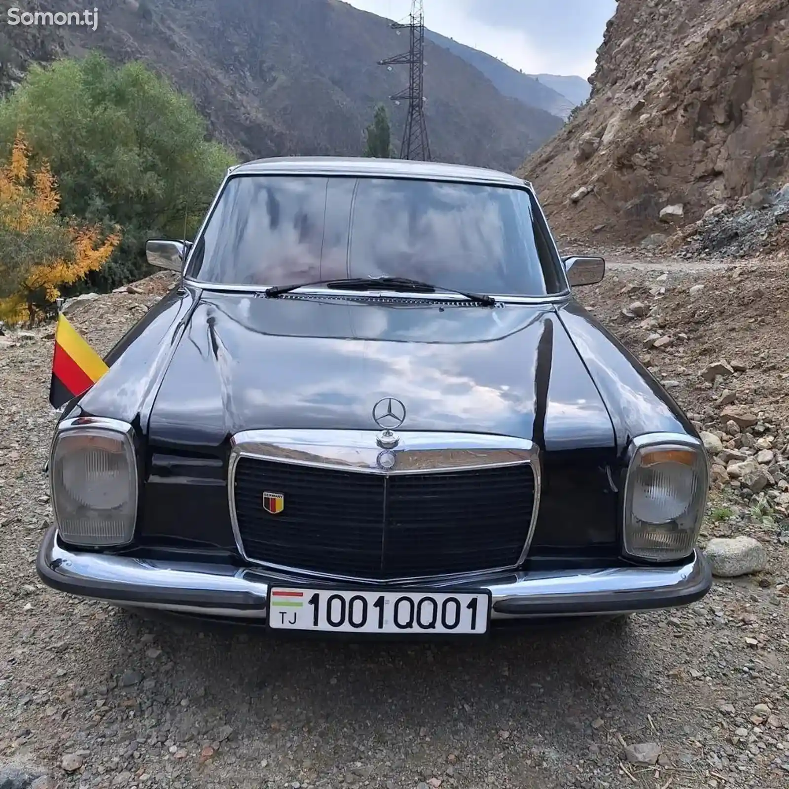 Mercedes-Benz W115, 1975-2