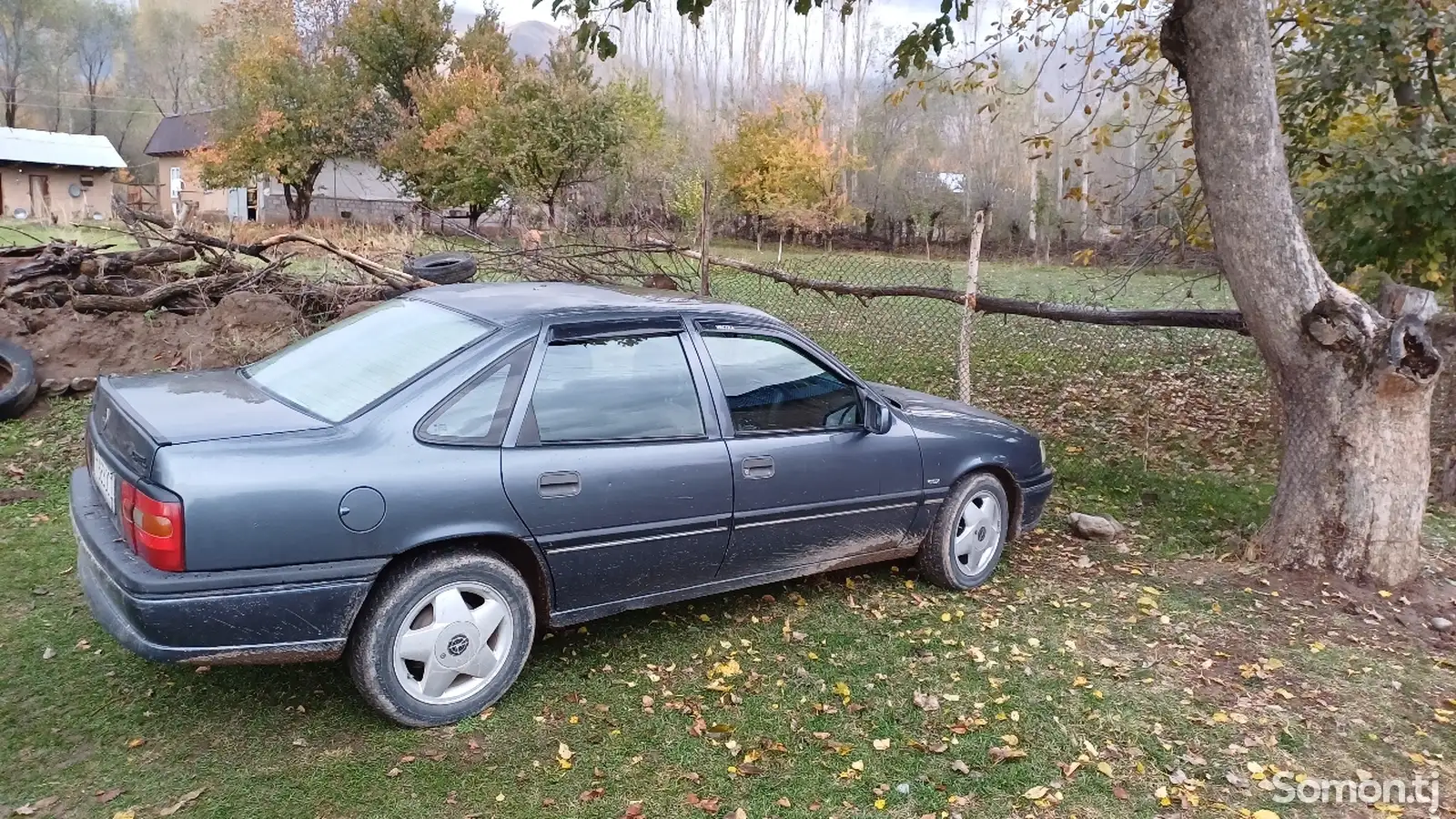 Opel Vectra A, 1995-1