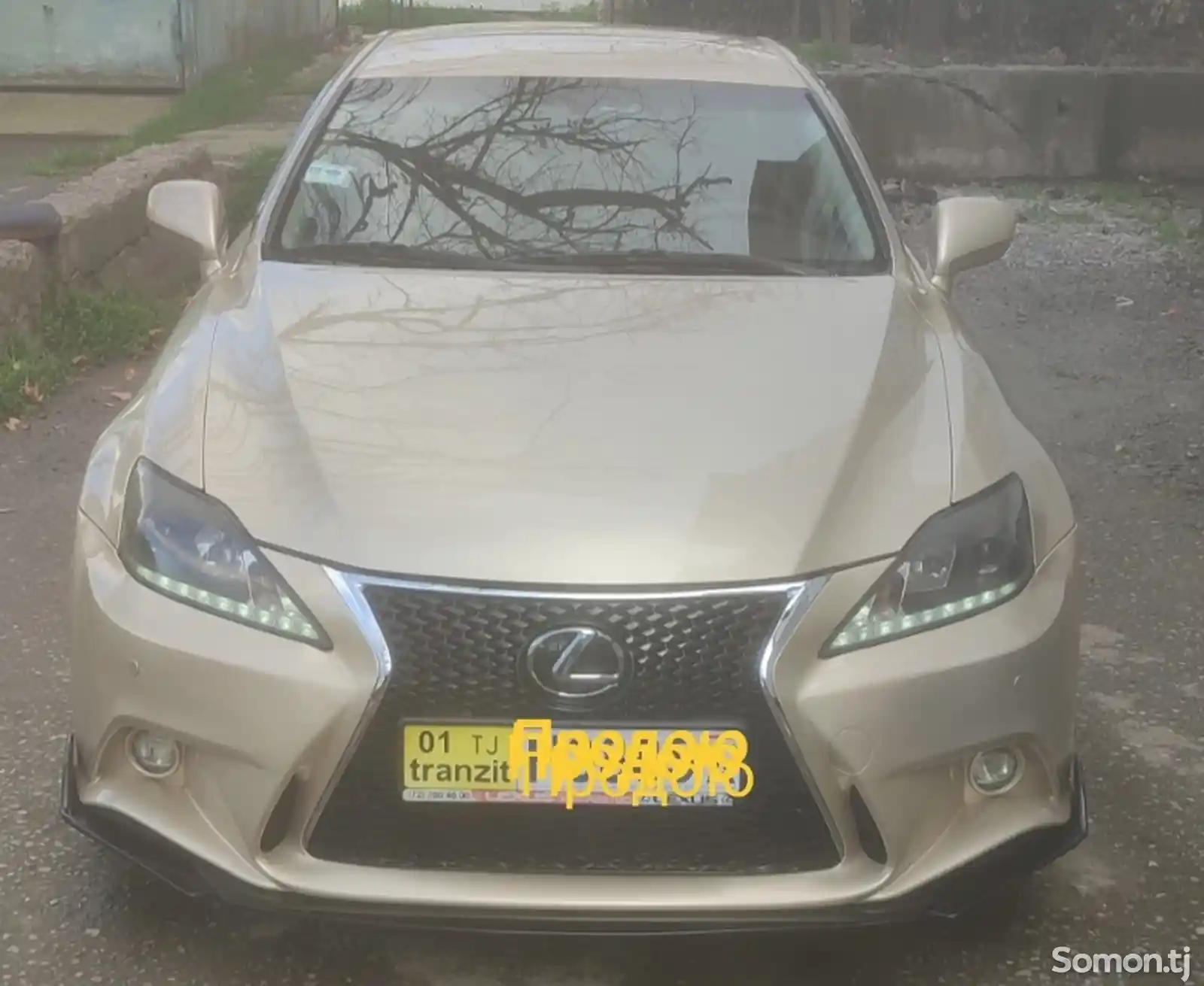 Lexus IS series, 2008-1