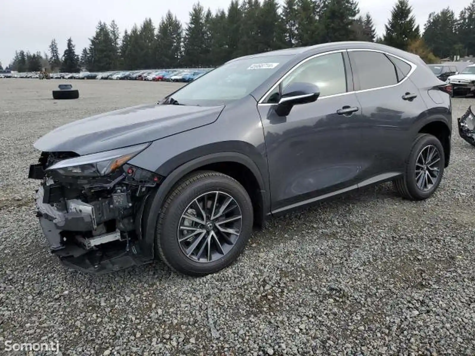 Lexus NX series, 2024-6