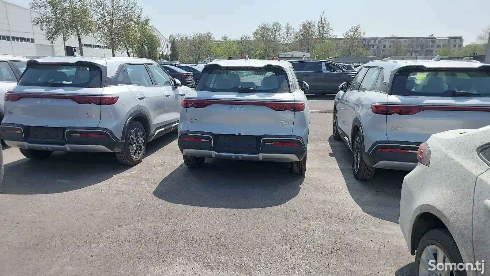 BYD Qin EV, 2024-16