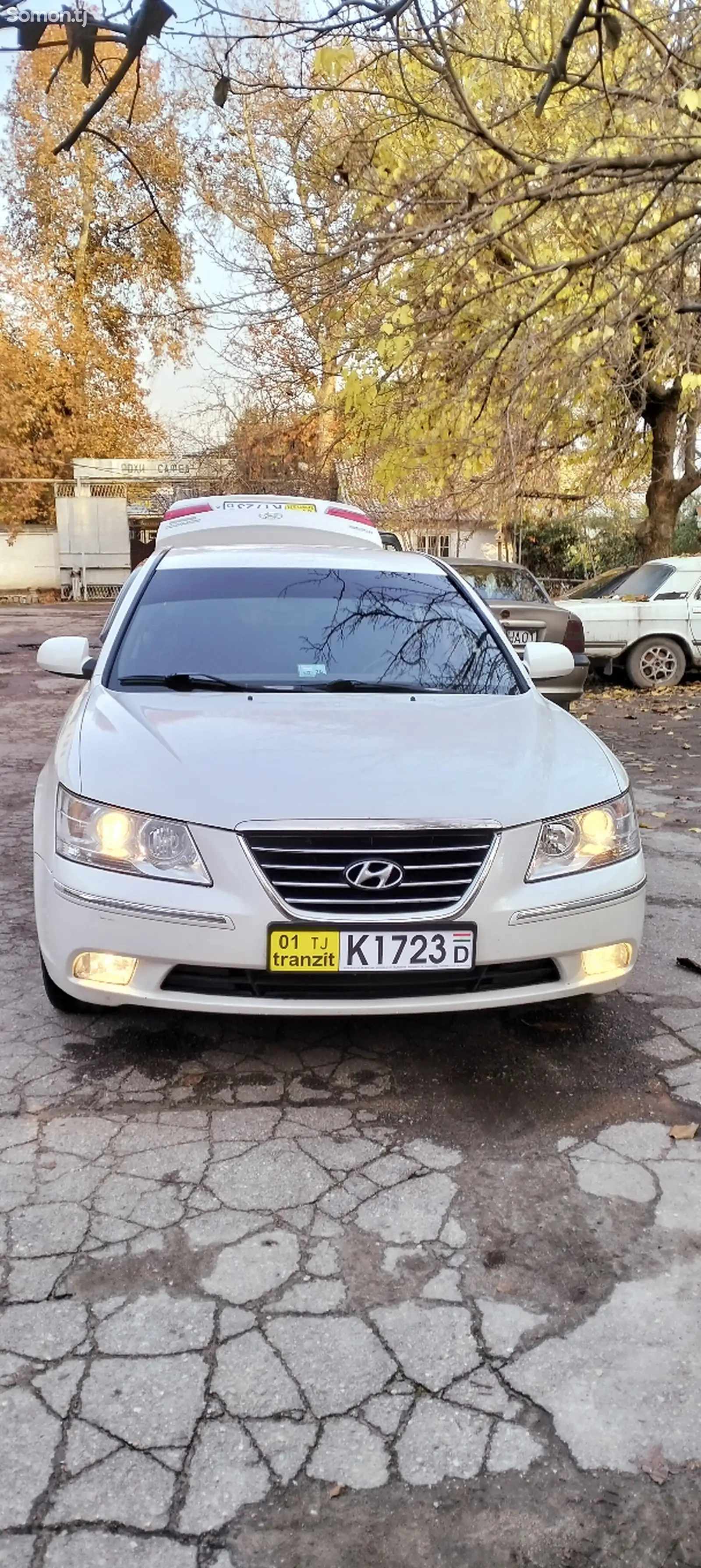 Hyundai Sonata, 2008-1