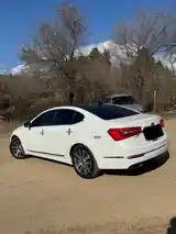 Kia Cadenza, 2014-4