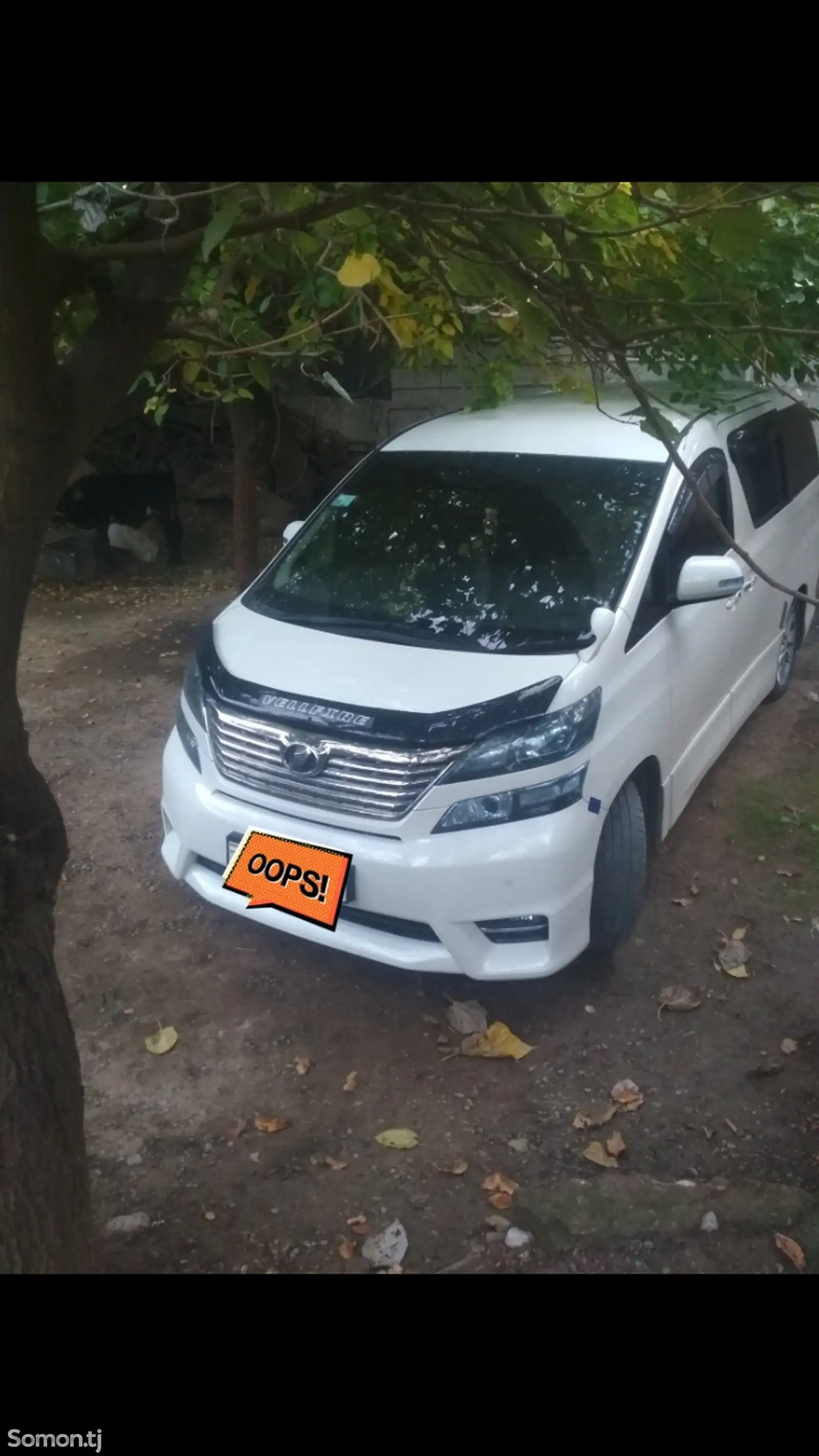 Toyota Vellfire, 2010-1