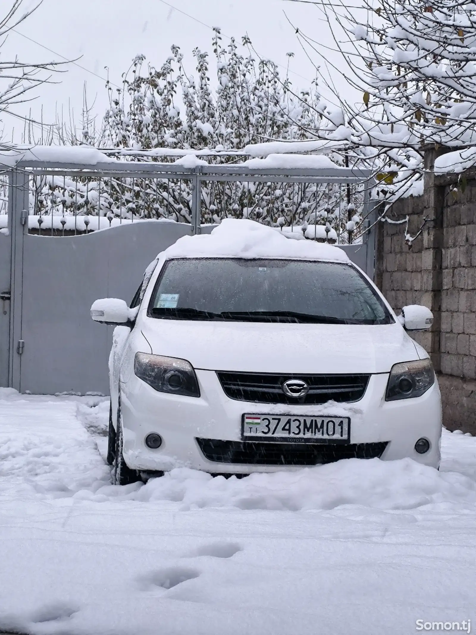 Toyota Fielder, 2010-1