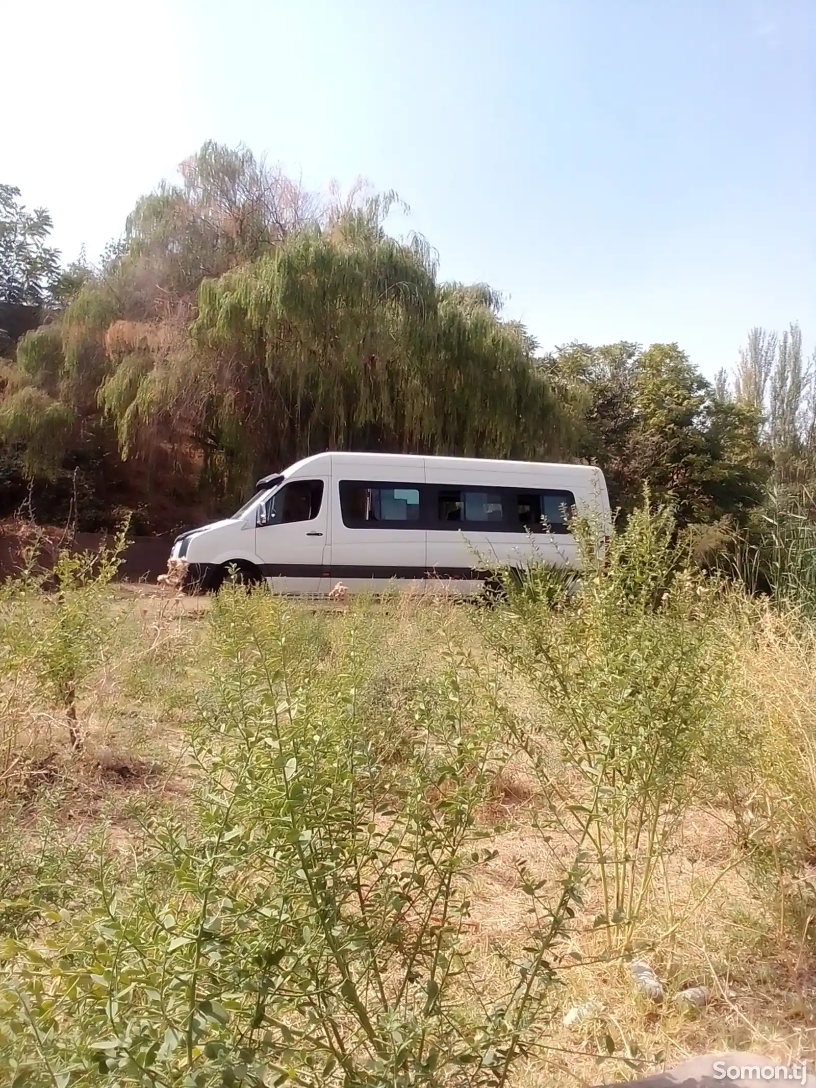 Услуги перевозки пассажиров на Mercedes-Benz Sprinter-2